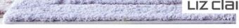JC Penney Liz claiborne signature plush 17x24" bath rugs offer
