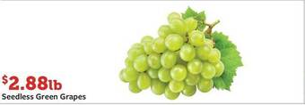 Fareway Seedless green grapes offer