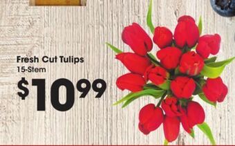 Kroger Fresh cut tulips offer