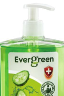 Ocean State Job Lot Evergreen antibacterial liquid hand soap offer