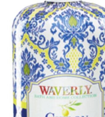 Ocean State Job Lot Waverly soap offer