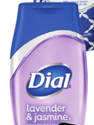 Ocean State Job Lot Dial body wash offer