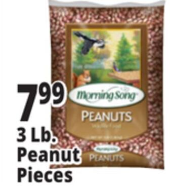 Ocean State Job Lot 3 lb. peanut pieces offer