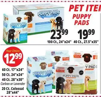 Ocean State Job Lot Pet items puppy pads offer