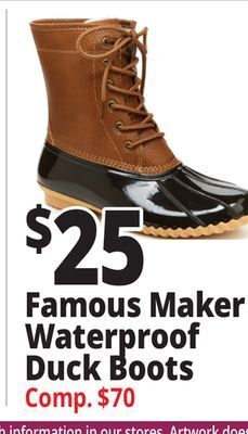 Ocean State Job Lot Famous maker waterproof duck boots offer