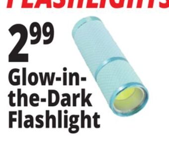 Ocean State Job Lot Glow-in-the-dark flashlight offer