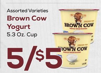 DeCicco & Sons Brown cow yogurt offer