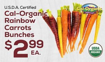 DeCicco & Sons Rainbow carrots bunches offer