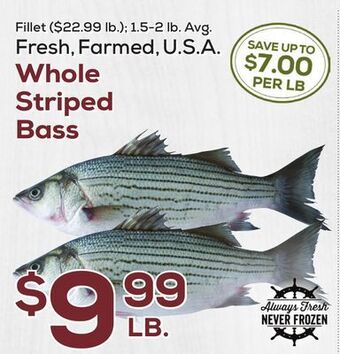 DeCicco & Sons Fresh, farmed, u.s.a. whole striped bass offer