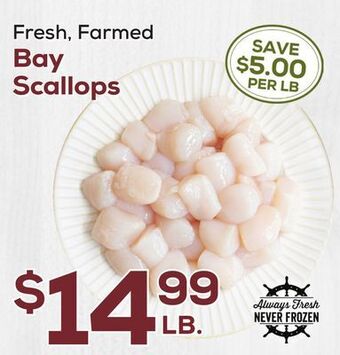 DeCicco & Sons Bay scallops offer