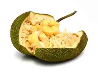 Jackfruit / yaka