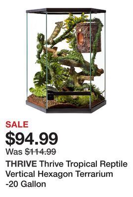 Petsmart Thrive tropical reptile vertical hexagon terrarium -20 gallon offer