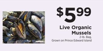 ShopRite Live organic mussels offer