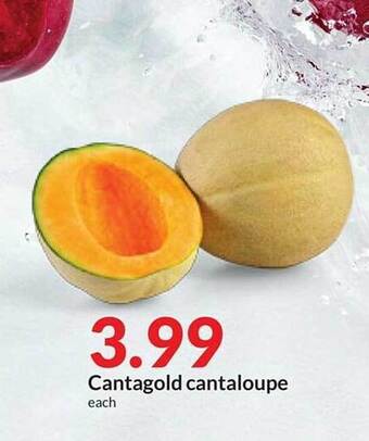 Hy-Vee Cantagold cantaloupe offer