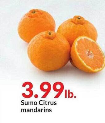 Hy-Vee Sumo citrus mandarins offer