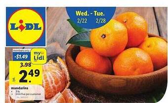 Lidl Mandarins offer