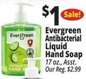 Ocean State Job Lot Evergreen antibacterial liquid hand soap offer