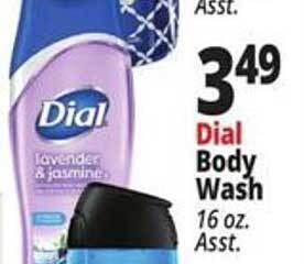 Ocean State Job Lot Dial body wash offer
