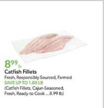 Publix Catfish fillets offer