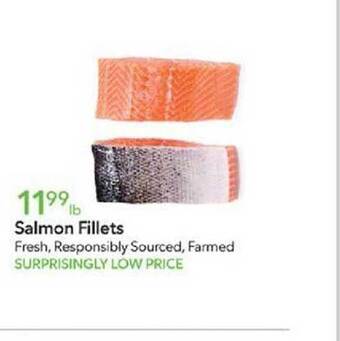 Publix Salmon fillets offer