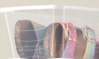 Family Dollar Snap lock lid tote offer