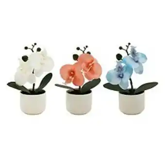 Kohl's Sonoma goods for life® artificial orchid table decor 3-piece set offer