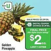 ACME Golden pineapple offer