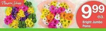 ACME Bright jumbo poms offer