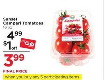 Sunset campari tomatoes