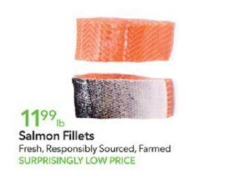 Publix Salmon Fillets offer