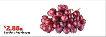 Fareway Seedless red grapes offer