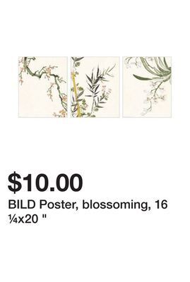 Ikea Bild poster, blossoming, 16 ¼x20 " offer