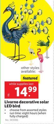 Lidl Livarno decorative solar led bird offer
