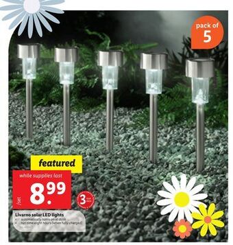 Lidl Livarno solar led lights offer