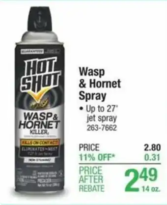 Menards Wasp & Hornet Spray offer