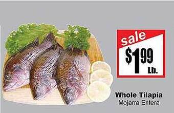 Rancho Markets Whole tilapia offer