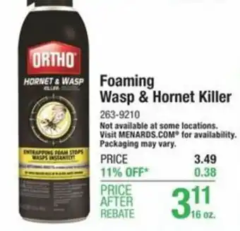 Menards Foaming Wasp & Hornet Killer offer