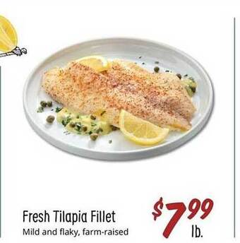 Sprouts Farmers Market Fresh tilapia fillet offer