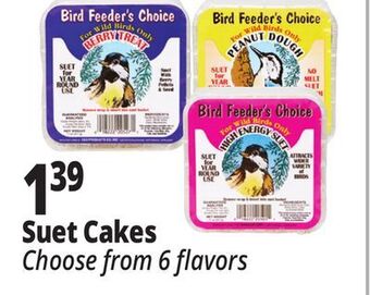 Ocean State Job Lot Bird feeder's choice high energy suet, 11 oz offer