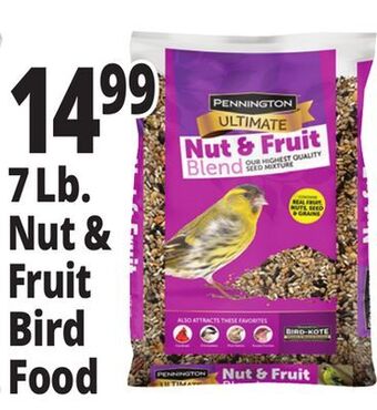 Ocean State Job Lot Pennington ultimate nut & fruit blend wild bird seed, 7 lbs offer