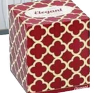 Ocean State Job Lot Elegant face tissue, 1 box offer