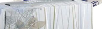 Ocean State Job Lot Kleenex basic tissue offer