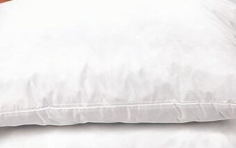 Ocean State Job Lot Gel memory foam pillow, 2-pack offer