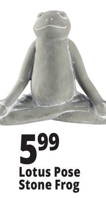 Ocean State Job Lot Lotus pose stone frog offer