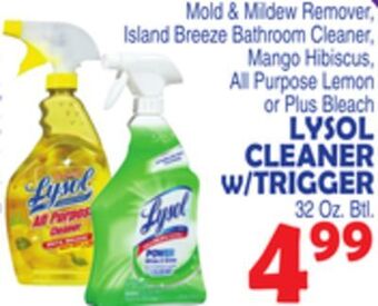 Bravo Supermarkets Lysol cleaner w/trigger offer
