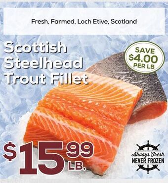 DeCicco & Sons Scottish steelhead trout fillet offer