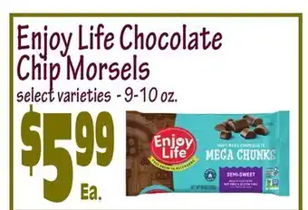 Wild By Nature Enjoy life chocolate chip morsels offer