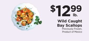 ShopRite Wild caught bay scallops offer