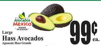 Baja Ranch Large hass avocados offer
