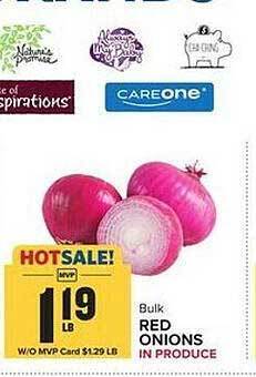 Food Lion Red onions offer